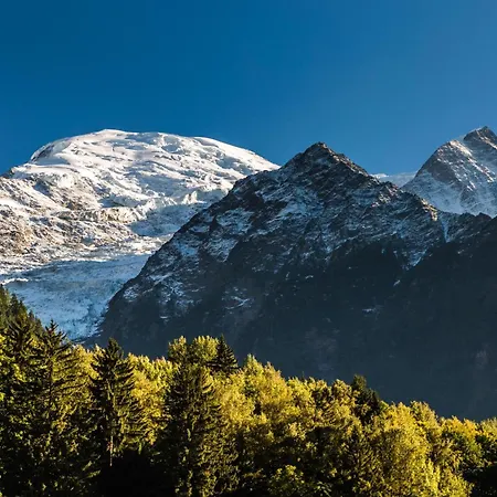 Grands Montets -garden -ski In Out - Happy Appartement *